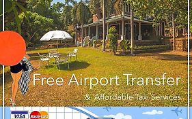 Airport Green Olive Villa